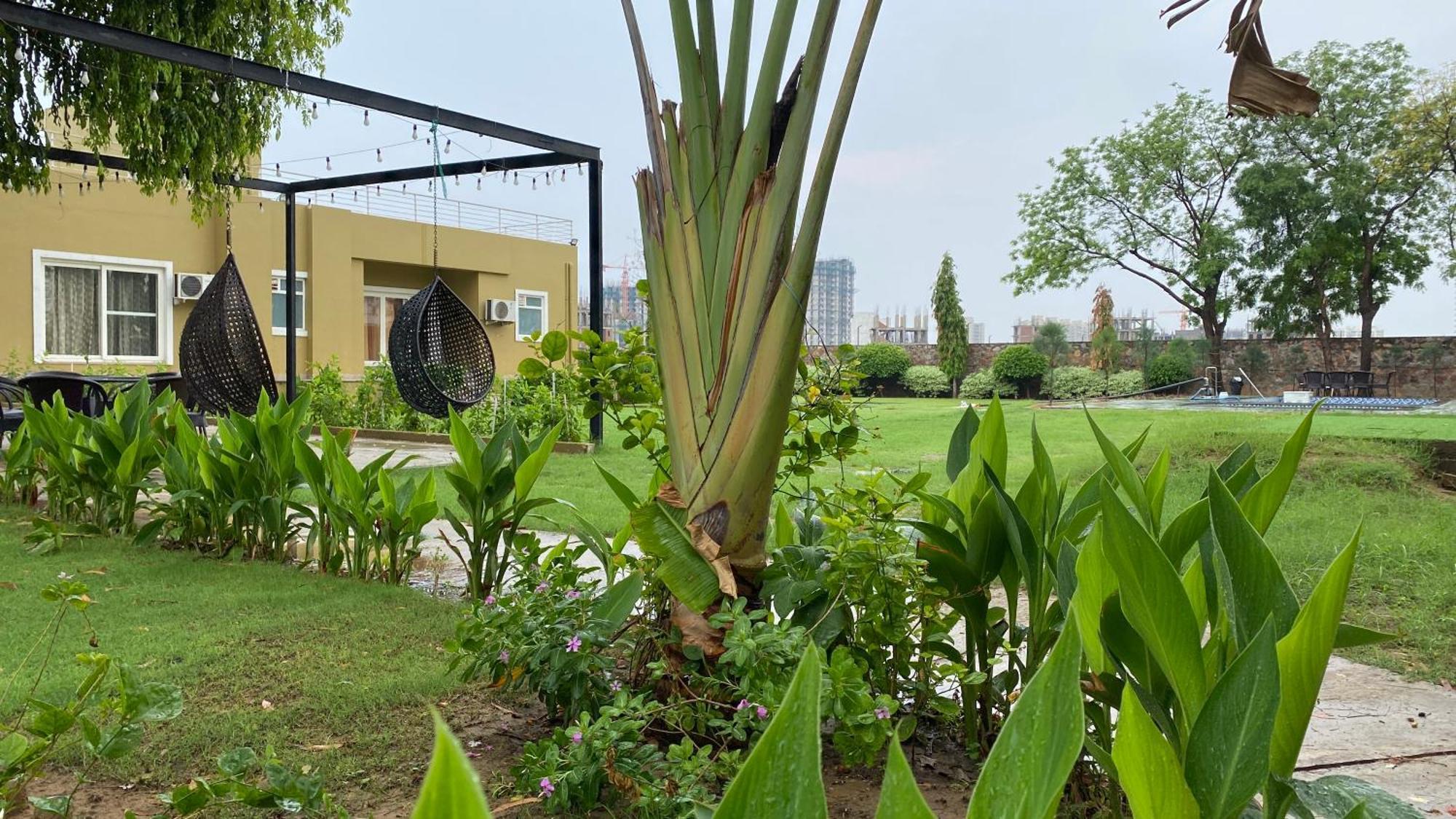 Raas Vilas - Boutique Farm House With Pool Taoru Luaran gambar